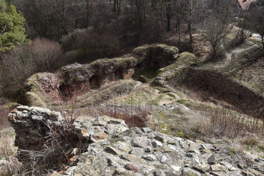 Przełomowy wyrok NSA w sprawie własności działek z ruinami zamku w Tarnowie. Coraz bliżej końca sądowego sporu między miastem i Sanguszkami