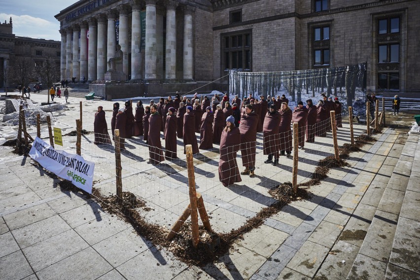Protest aktywistów Greenpeace w obronie Puszczy...