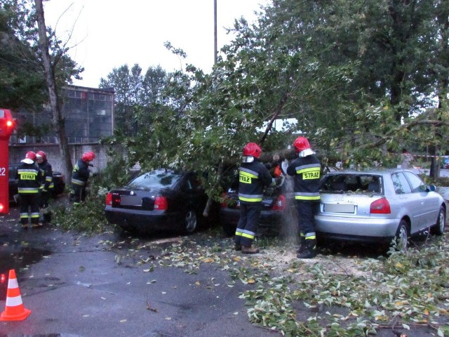 Ul. Wańkowicza w  Koszalinie - w środę rano strażacy usuwali konar drzewa, który spadł na trzy auta.
