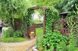Komisja wybrała najpiękniejsze ogrody w Minikowie, Gumnowicach i Ślesinie