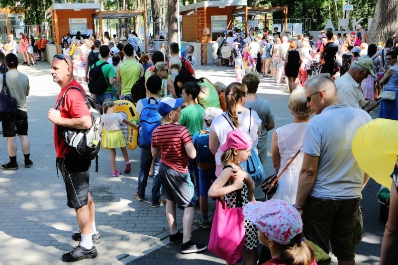 Rekord na Arkonce. Od początku lipca kąpielisko odwiedziło ponad 42 tys. osób