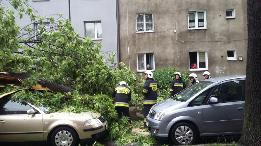 Najgorzej jest na ul. Fredry, Piłsudskiego, Czarneckiego i...