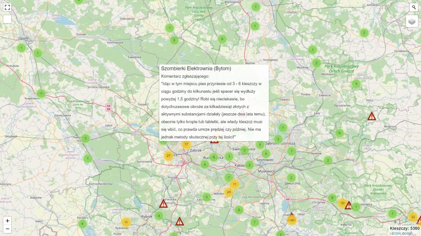 Mapa Kleszczy 2023 - gdzie jest ich najwięcej w województwie śląskim? Sprawdźcie
