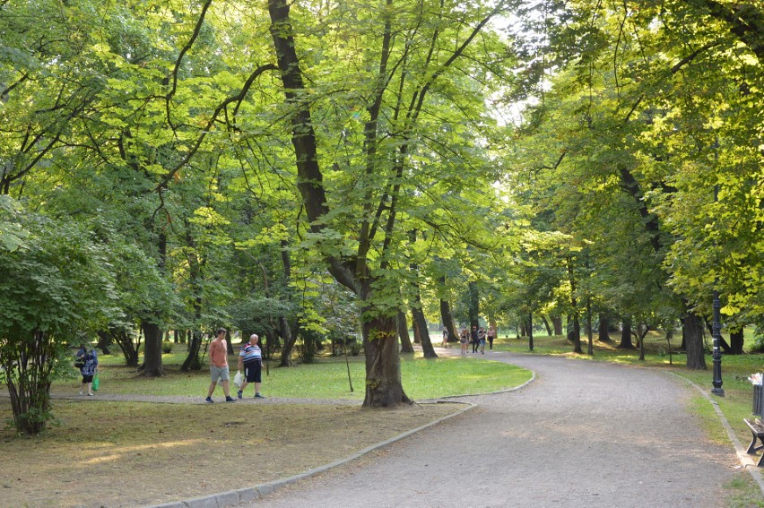 Park Mickiewicza w Wieliczce - założony w 1835 roku, jako...