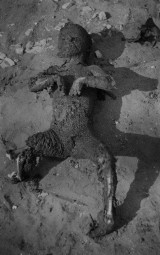 Okrutny mord na Michniowie - zobacz wstrząsajace zdjęcia z 1943 roku 