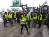 Rolnicy protestowali w Biesiekierzu i Koszalinie. Drogi były zablokowane [ZDJĘCIA]