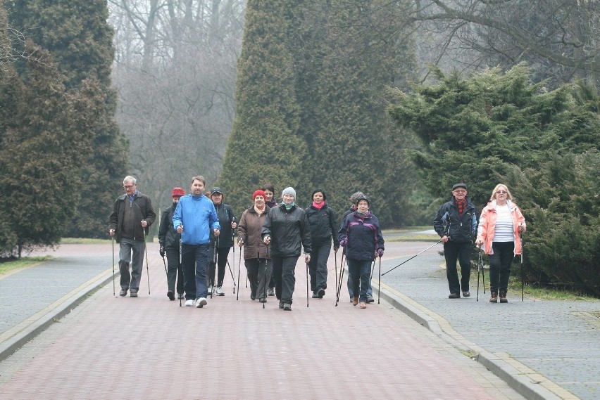 Dzień Otwarty Nordic Walking na Stadionie Śląskim