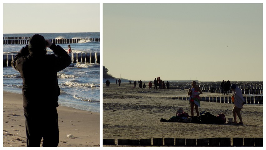 Tłumy spacerowiczów i... morsów na plaży w Dziwnówku. Zobacz zdjęcia!