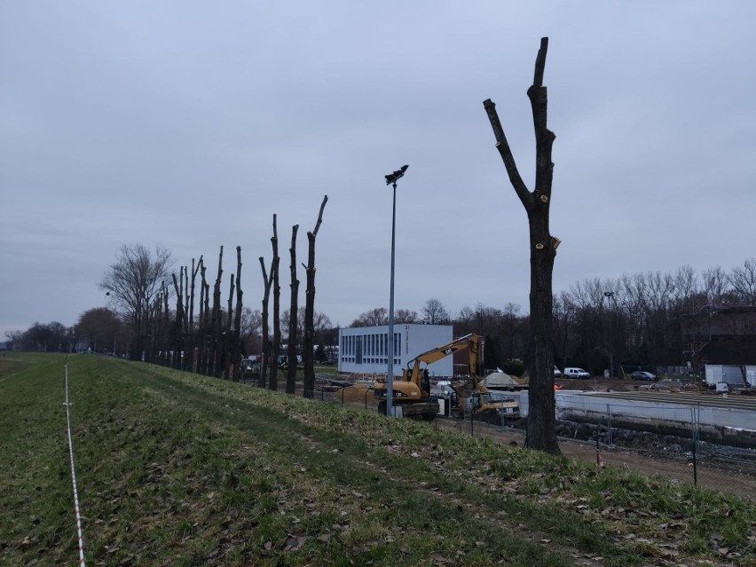 Wycinka drzew przy modernizowanej oczyszczalni ścieków w...