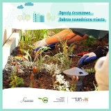 Woda i zieleń. Lublin na finiszu prac przy budowie pierwszych ogrodów wodnych. Będzie wspólne sadzenie roślin