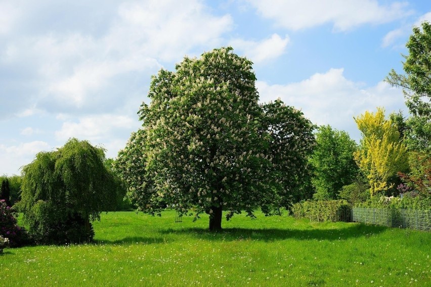 Kajetanów 38,dz. nr 28/2,  23-145 Wysokie...