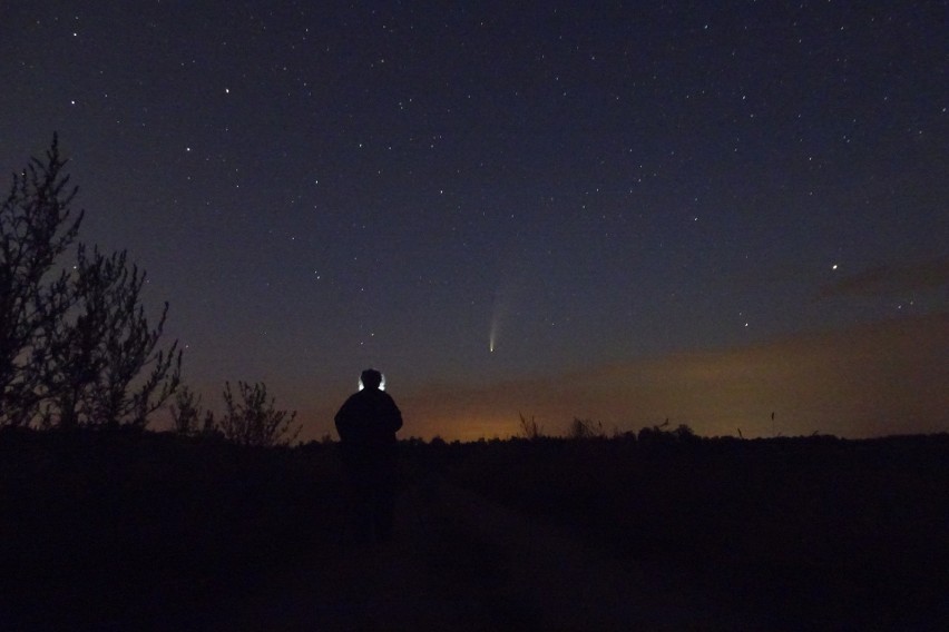 Kometa Neowise leci nad Polską. Gdzie oglądać kometę? Jest widoczna gołym okiem. Zdjęcia