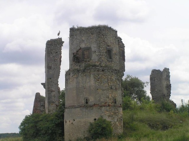 Ruiny zamku w Majkowicach (gm. Ręczno) Znajdują się przy drodze (DW 742) pomiędzy Sulejowem a Przedborzem.