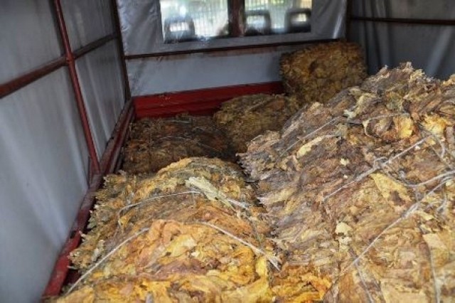 Źrebce: Mieszkańcy Warszawy wieźli 250 kg nielegalnego tytoniu