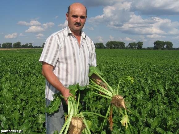 Na polu Józefa Paweli z Wylatowa.