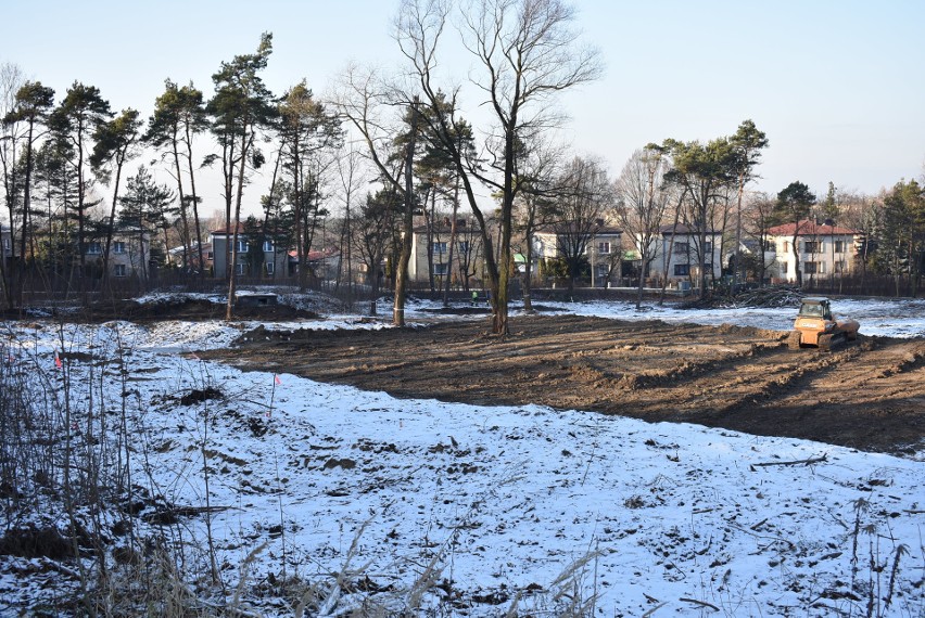 Olkusz. Park Czarna Góra z oazy zieleni zmienia się w betonową pustynię. Wycięto setki drzew