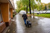 Załamanie pogody w Kujawsko-Pomorskiem. Chłód i deszcz, zamiast ciepła i słońca