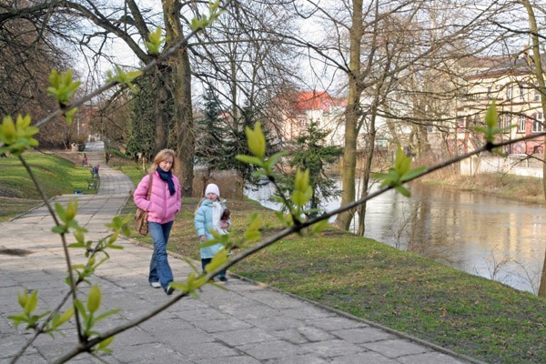 Wiosne widac golym okiem. Na trawnikach wyrosly kwiaty, a...