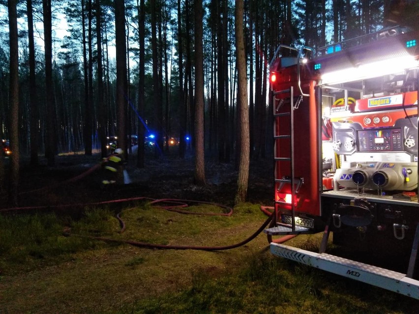 Pożar lasu w gm. Kaliska