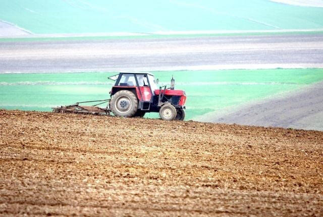 Tylko trzy lata można na danej działce siać np. pszenicę. Potem należy zmienić uprawę. (fot. Jacek Świerczyński/archiwum)