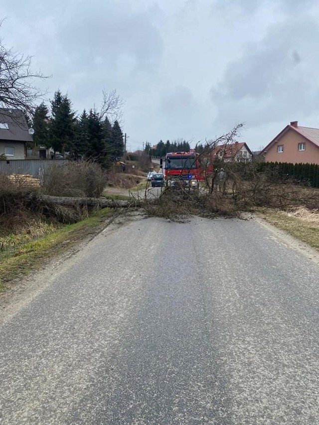 Strażacy usunęli drzewo, które runęło na jedną z ulic w Dobczycach