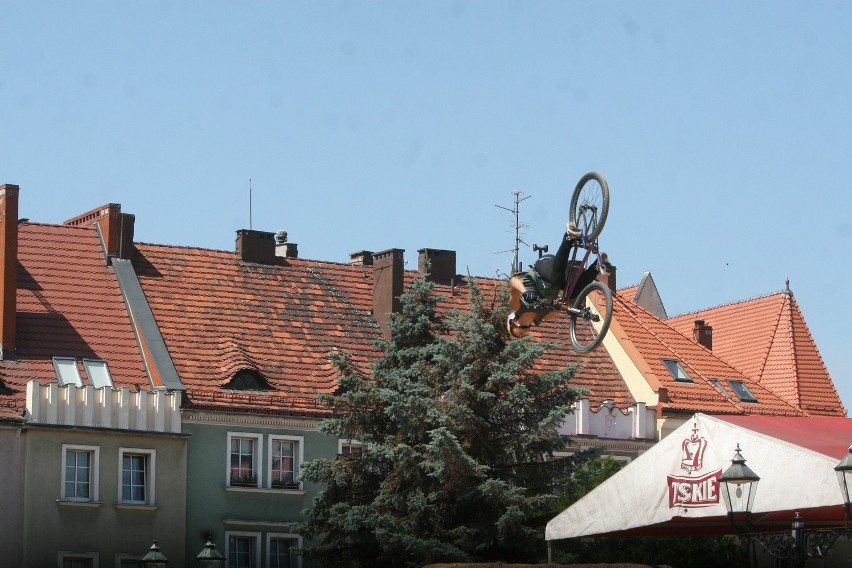 Wombat Dirt Jumping Cup w Wodzisławiu Śląskim [WIDEO, ZDJĘCIA]