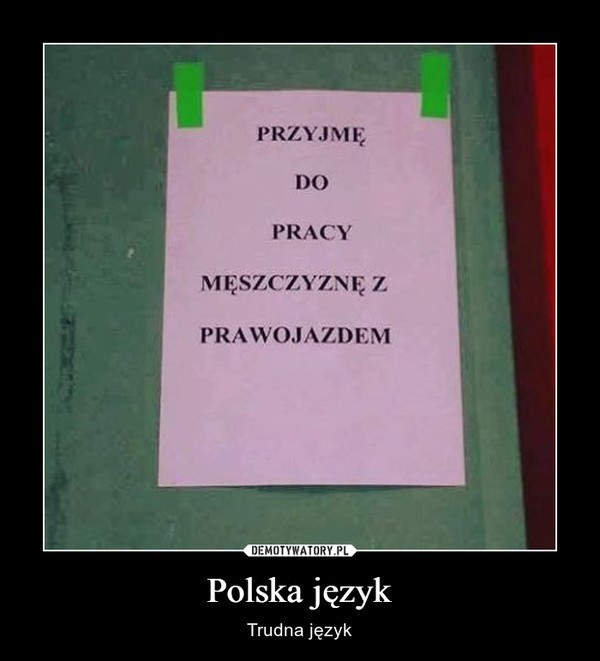 „Polska język, trudna język”, czyli Dzień Języka Ojczystego na wesoło. Zobacz najlepsze MEMY internautów o języku polskim