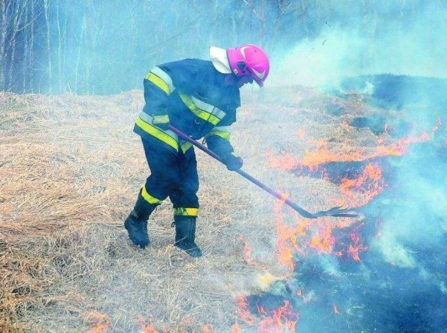 Ściółka jest sucha. W kwietniu strażacy gasili w naszym regionie już około 20 pożarów lasu
