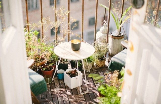 Takie warzywa możesz uprawiać na balkonie. Chcesz mieć kolorowy ogródek w bloku? To musisz wiedzieć o uprawie warzyw na balkonie >>>  >>>