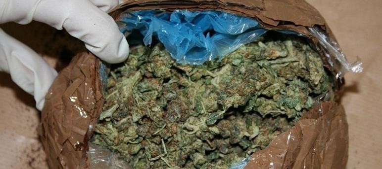 Członek mafii narkotykowej z Torunia złapany na granicy kraju z 12 kilogramami marihuany