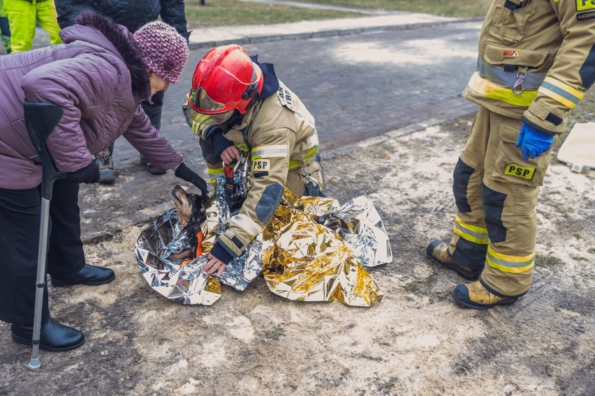 Zobacz kolejne zdjęcia/plansze. Przesuwaj zdjęcia w prawo -...