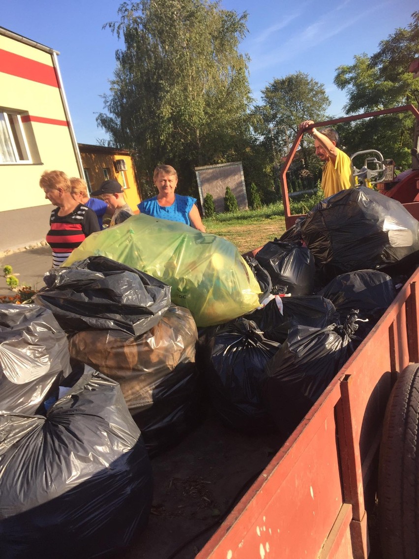 Udane sprzątanie w Janowicach, w gminie Samborzec. Zebrano prawie 40 worków śmieci. Zobacz zdjęcia 