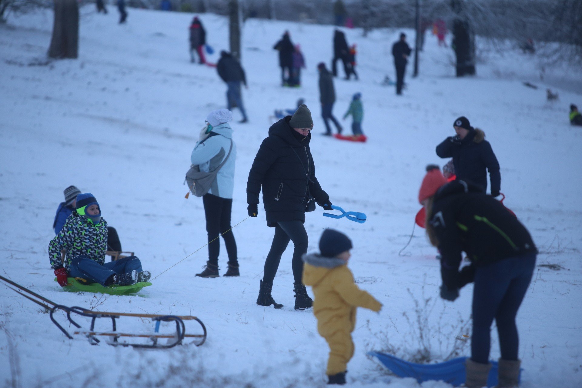 Saneczkowe szaleństwo na Górce Środulskiej w Sosnowcu trwa. Saneczkarze i  narciarze opanowali cały park | Dziennik Zachodni