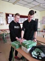 Łyse. Uczniowie ZSP w Łysych wzięli udział w akcji "Góra grosza". Zebrali 20 kilogramów monet