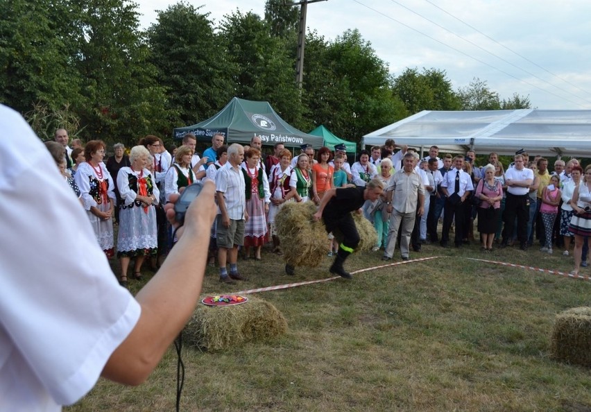 Dożynki Gminne 2015. Zaczynamy nasz dożynkowy przegląd. Na początek Wojkowice Kościelne, Rajcza, Godów [ZDJĘCIA]