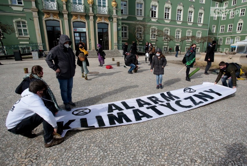 "Alarm klimatyczny". Ekologiczny protest przeciwko wycince drzew przed Urzędem Miasta w Szczecinie