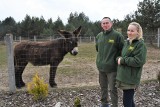 Ogród Zoologiczny Leśne Zacisze w Lisowie zamknięty dla turystów. Zabraknie pieniędzy na wykarmienie 450 zwierząt? [WIDEO, ZDJĘCIA]