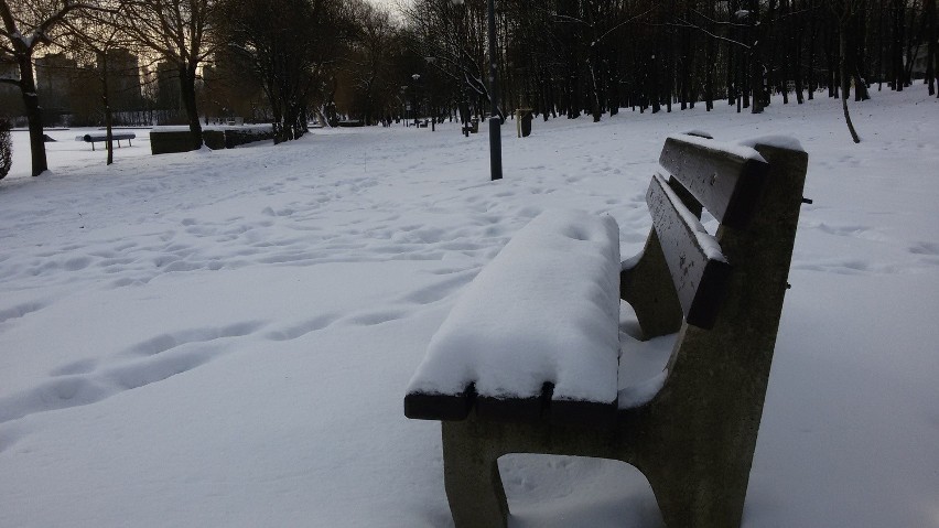 Świętochłowice: Zima zawitała nad staw Skałka [ZDJĘCIA]