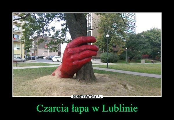 Memy o Lublinie i miastach w regionie. Internauci się z nich śmieją. Koniecznie zobacz!