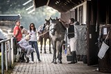Ferie w Siodle – Ośrodek jeździecki Farma Sielanka w Warce z ciekawą propozycją dla najmłodszych
