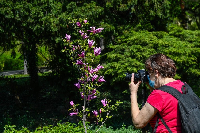 Ogród botaniczny UKW znajduje się teraz w pełnym rozkwicie....