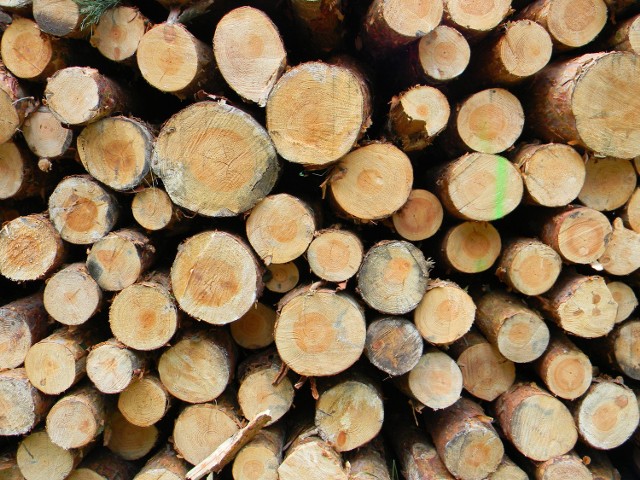 Stora Enso rozbudowuje tartak w MurowiePo zwiększeniu mocy produkcyjnych tartak będzie mógł przetwarzać nawet 800 000 kubików drewna w ciągu roku