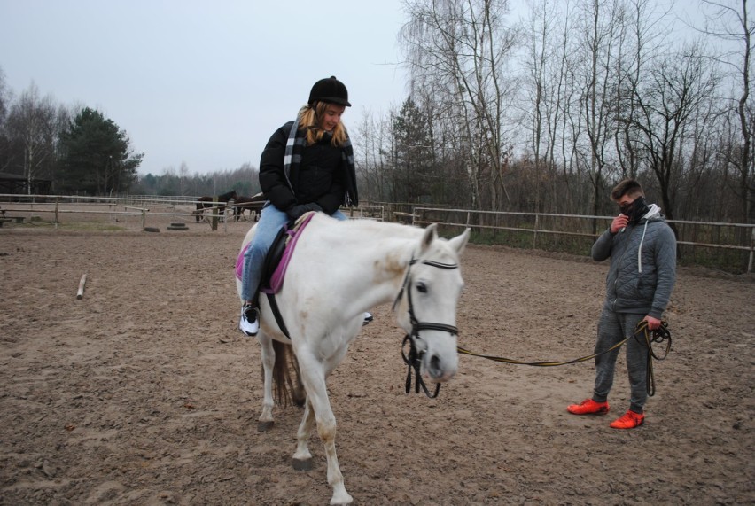 Licealiści z XII LO uczą się jeździć konno w ośrodku w...