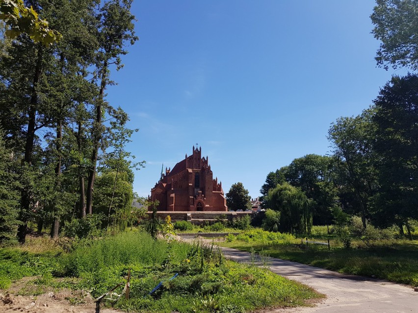 Światowy Dzień Fotografii - oto zdjęcia, z które zrobili nasi czytelnicy i są z nich dumni [ZDJĘCIA] 