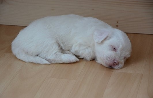 Po wykonaniu zabiegu, pieniądze nie zostaną wypłacone...