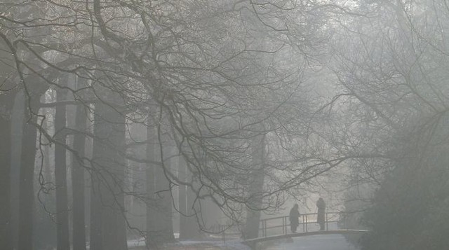 W Europie może być nawet do minus 40 stopni, w Słupsku do minus 20.