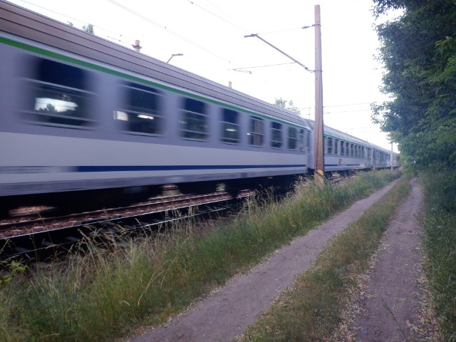 Na linię z Płocka do Trójmiasta, przez Brodnice i Grudziądz, wracają pociągi