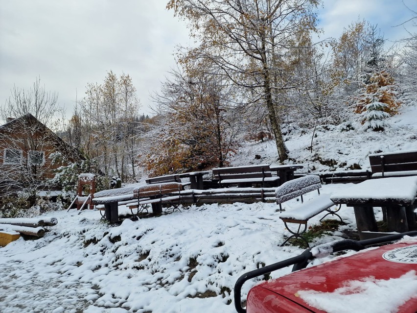 W Górach Opawskich spadł pierwszy śnieg w tym sezonie.