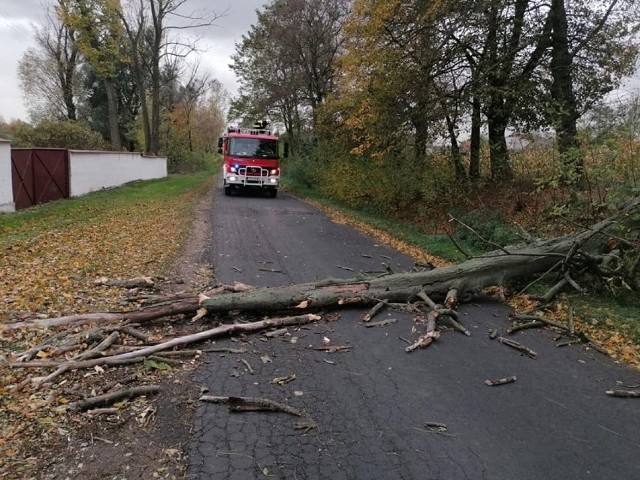 W piątek, 22 października Instytut Meteorologii i Gospodarki Wodnej wydał kolejne ostrzeżenia meteorologiczne dla Wielkopolski, tym razem pierwszego stopnia. Prognozuje się wystąpienie silnego wiatru między godz. 11 a 18.