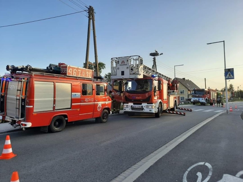 Co za akcja! Bocian dławił się workiem foliowym. Na ratunek...